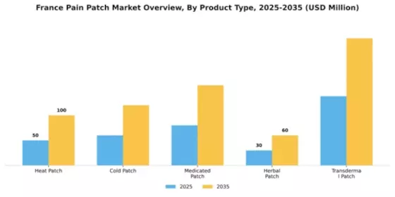 France Pain Patch Market Segment Image 3