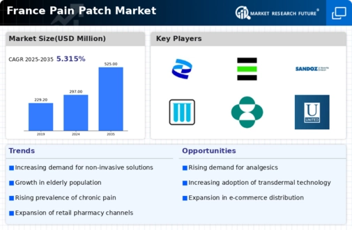 France Pain Patch Market Infographic