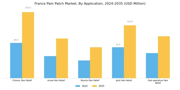France Pain Patch Market Segment Image 0