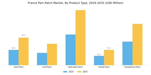 France Pain Patch Market Segment Image 1