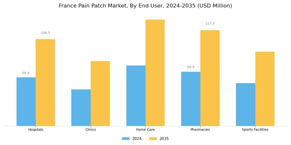 France Pain Patch Market Segment Image 2