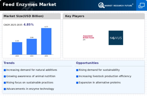 Feed Enzymes Market Infographic