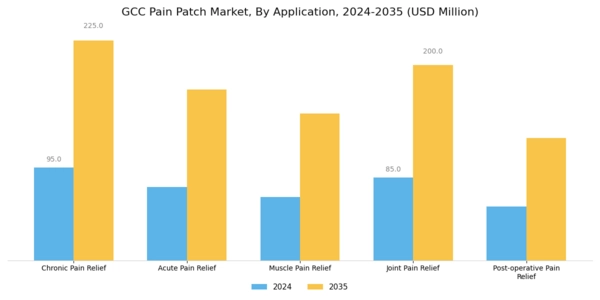 GCC Pain Patch Market Segment Image 0