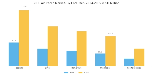 GCC Pain Patch Market Segment Image 2