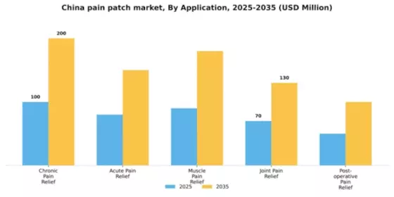 China Pain Patch Market Segment Image 0