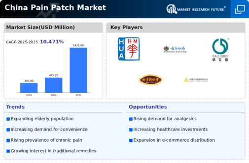 China Pain Patch Market Infographic