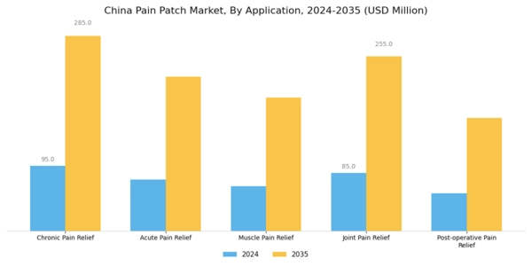 China Pain Patch Market Segment Image 0