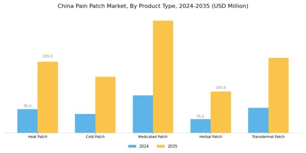 China Pain Patch Market Segment Image 1