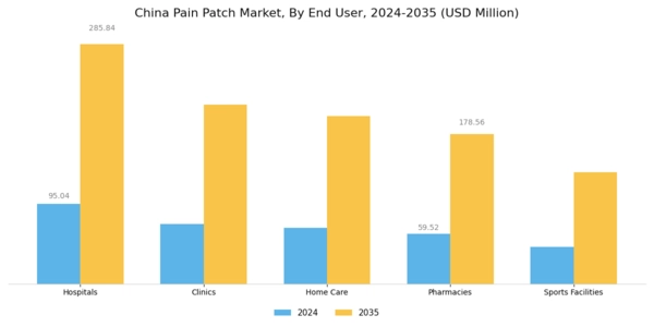 China Pain Patch Market Segment Image 2