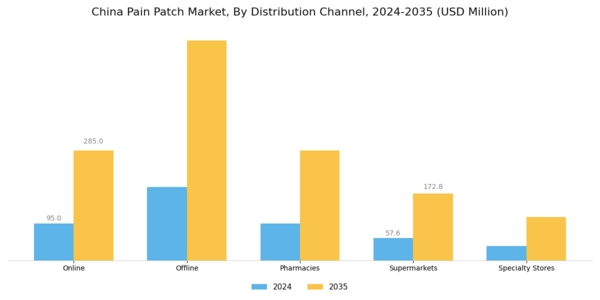 China Pain Patch Market Segment Image 3