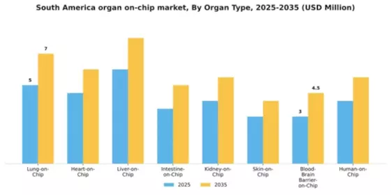 South America Organ On Chip Market Segment Image 2