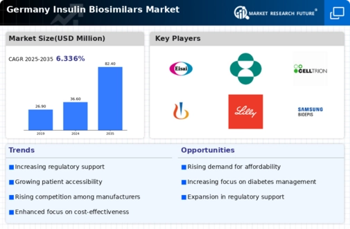 Germany Insulin Biosimilars Market Infographic