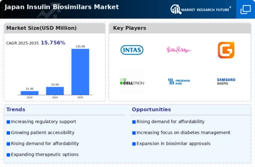 Japan Insulin Biosimilars Market Infographic