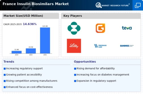 France Insulin Biosimilars Market Infographic