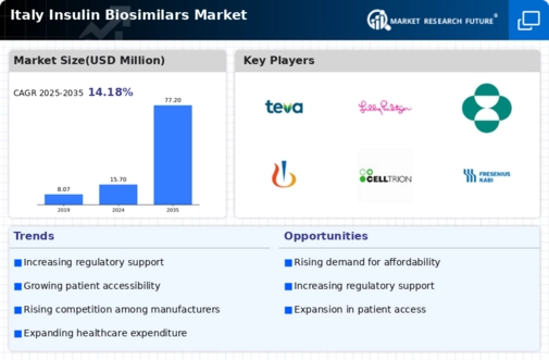 Italy Insulin Biosimilars Market Infographic