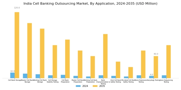 India Cell Banking Outsourcing Market Segment Image 2