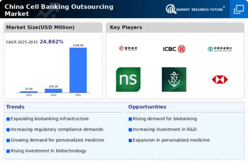 China Cell Banking Outsourcing Market Infographic