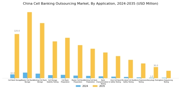 China Cell Banking Outsourcing Market Segment Image 2