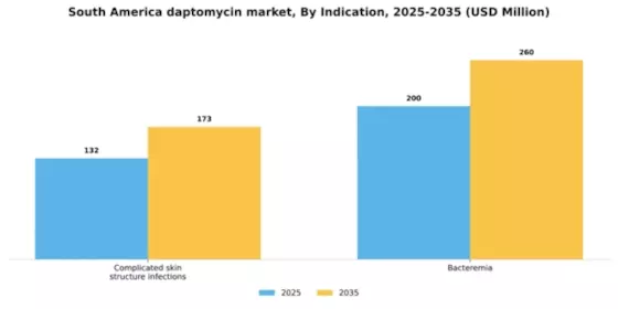 South America Daptomycin Market Segment Image 1
