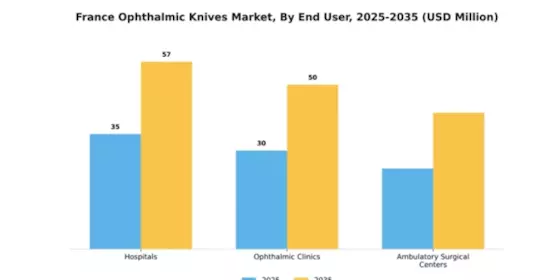 France Ophthalmic Knives Market Segment Image 2