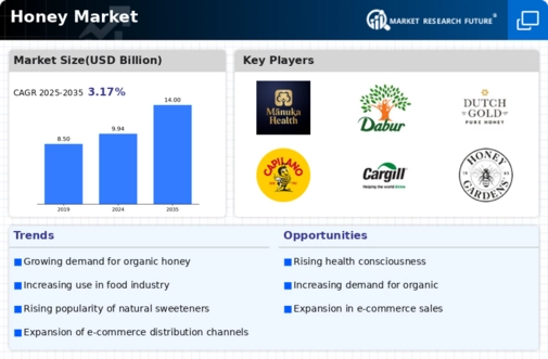 Honey Market Research Report- Forecast till 2035 Infographic