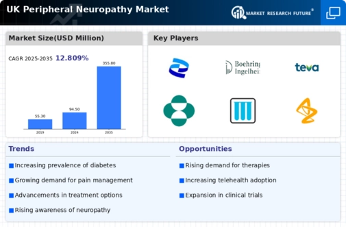 UK Peripheral Neuropathy Market Infographic