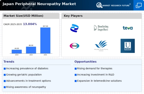 Japan Peripheral Neuropathy Market Infographic