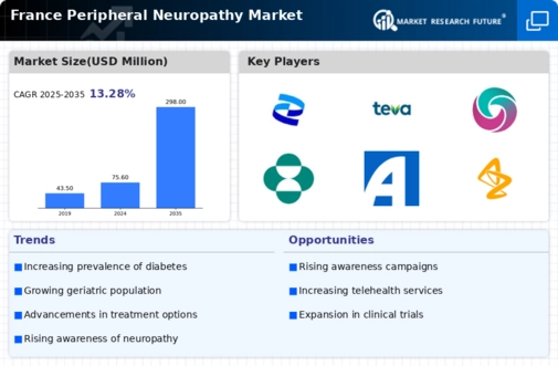 France Peripheral Neuropathy Market Infographic