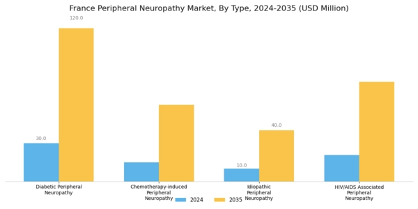 France Peripheral Neuropathy Market Segment Image 0