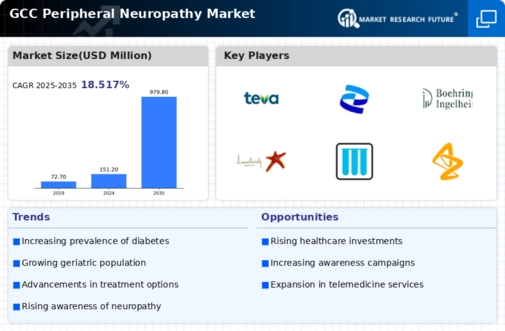 GCC Peripheral Neuropathy Market Infographic