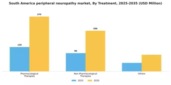 South America Peripheral Neuropathy Market Segment Image 1