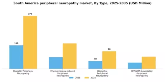 South America Peripheral Neuropathy Market Segment Image 2