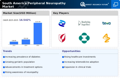 South America Peripheral Neuropathy Market Infographic