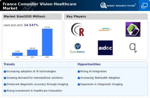 France Computer Vision Healthcare Market Infographic