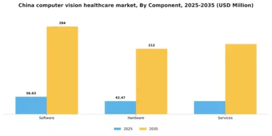 China Computer Vision Healthcare Market Segment Image 1