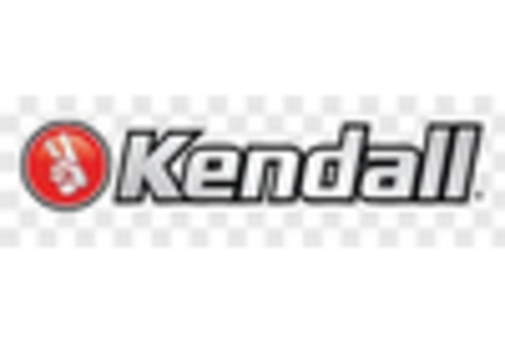 Italy Medical Device Cleaning Market key player