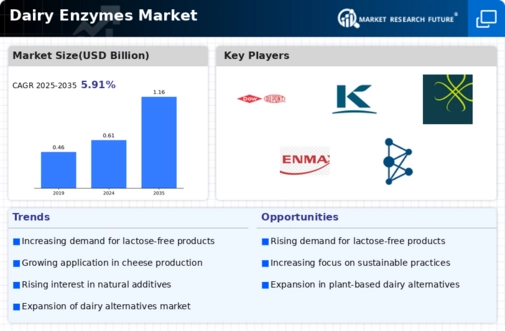 Dairy Enzymes Market Infographic