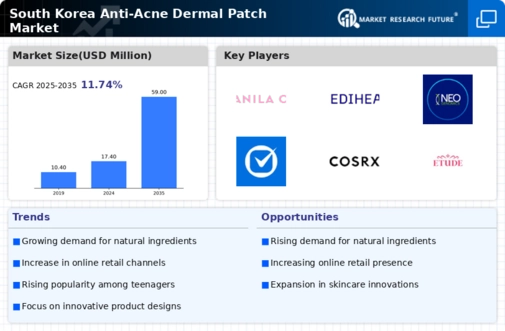 South Korea Anti Acne Dermal Patch Market Infographic