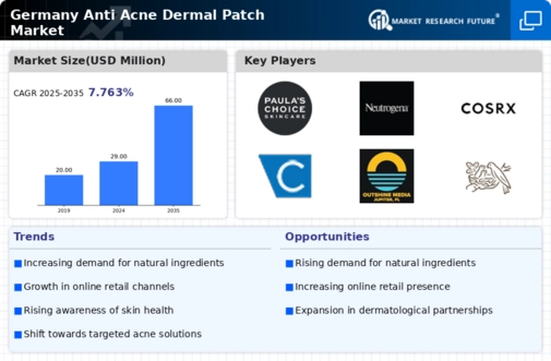 Germany Anti Acne Dermal Patch Market Infographic