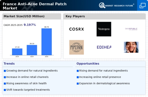 France Anti Acne Dermal Patch Market Infographic