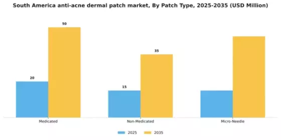 South America Anti Acne Dermal Patch Market Segment Image 3