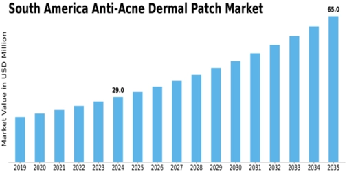 South America Anti Acne Dermal Patch Market Size