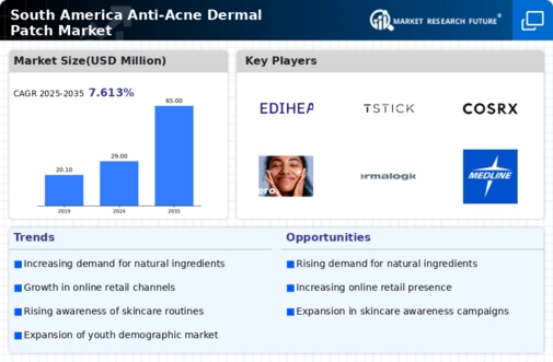 South America Anti Acne Dermal Patch Market Infographic
