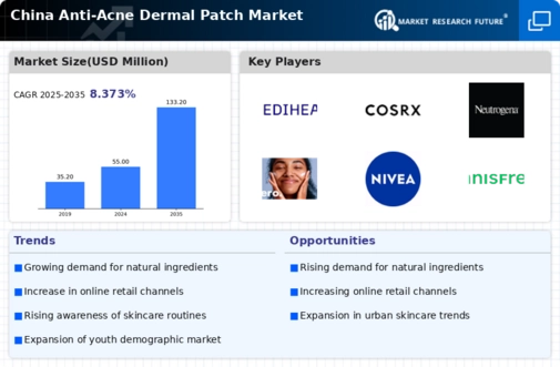 China Anti Acne Dermal Patch Market Infographic