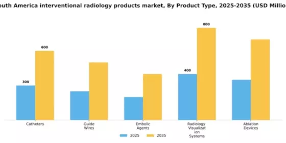 South America Interventional Radiology Products Market Segment Image 3