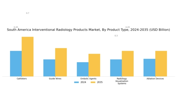 South America Interventional Radiology Products Market Segment Image 0