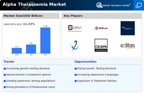 Alpha Thalassemia Market Infographic