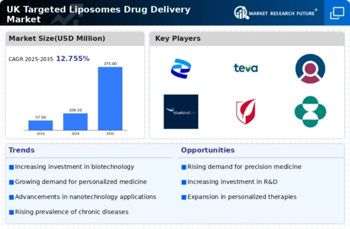 UK Targeted Liposomes Drug Delivery Market Infographic