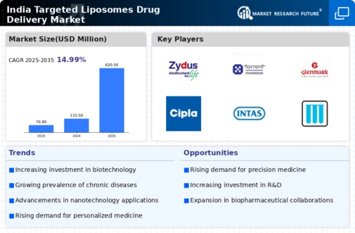 India Targeted Liposomes Drug Delivery Market Infographic