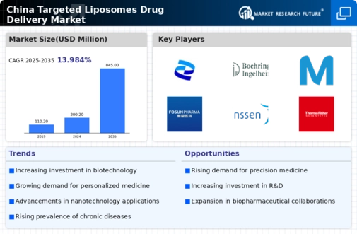 China Targeted Liposomes Drug Delivery Market Infographic